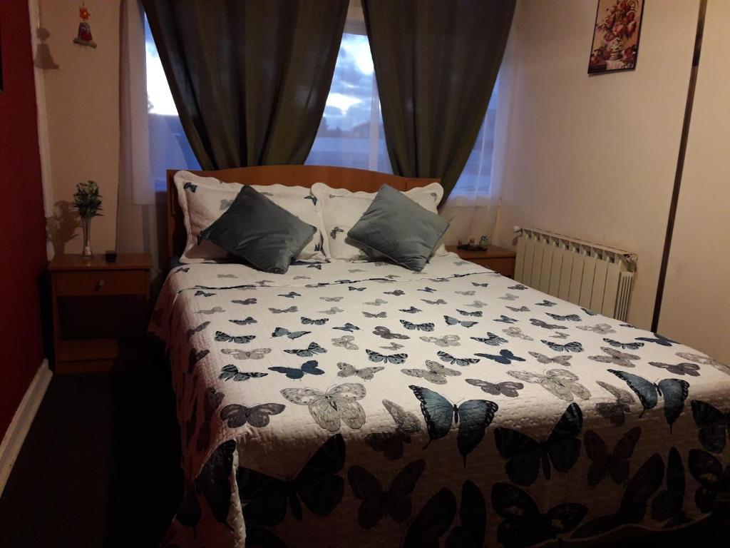 Hostal Torres Del Paine 2 푼타아레나스 외부 사진